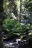 resIMG_20170711_163620_8479.JPG